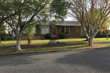 Photo of property in 49 Trevola Street, New Windsor, Auckland, 0600