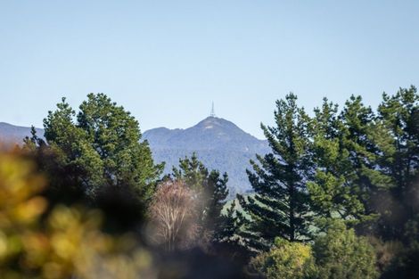 Photo of property in 8 Ridge View Place, Waihi, 3610