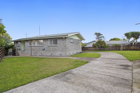 Photo of property in 55 Hall Road, Matua, Tauranga, 3110