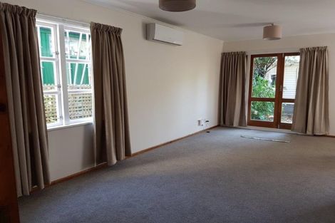 Photo of property in 117 Aro Street, Aro Valley, Wellington, 6021