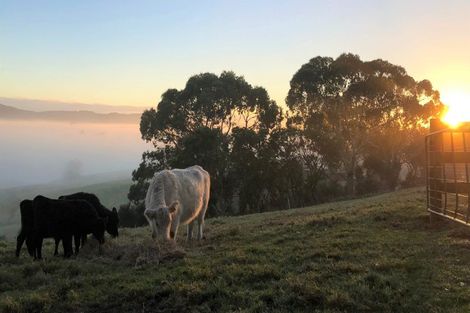 Photo of property in 63 Bluff Road, Pokeno, 2471