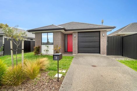 Photo of property in 84 Sentinel Avenue, Omokoroa, 3114