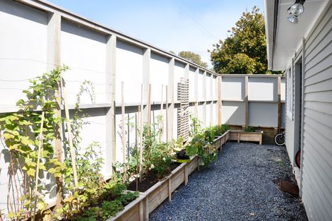 Photo of property in 23 Cumberland Street, Leigh, 0985