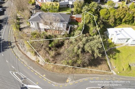 Photo of property in 33 Liardet Street, Vogeltown, Wellington, 6021