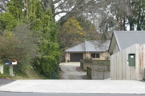 Photo of property in 152e Clarkin Road, Fairfield, Hamilton, 3214