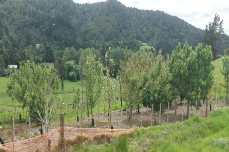 Photo of property in 56 Bellevue Way, Otaika, 0170