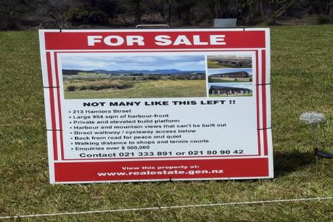 Photo of property in 213 Hamiora Street, Matarangi, 3592