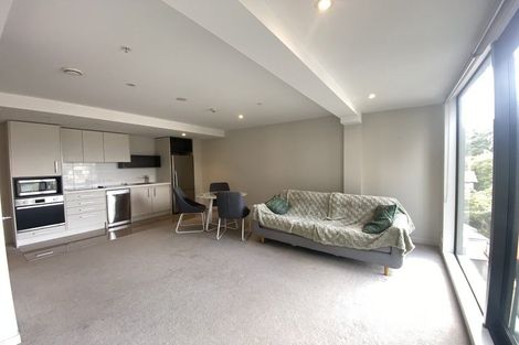 Photo of property in Nouvo Apartments, 4f/21 Rugby Street, Mount Cook, Wellington, 6021