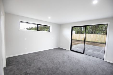 Photo of property in 10c Burbank Place, Methven, 7730