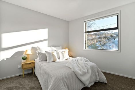 Photo of property in Detroit Apartments, 213/181 Tasman Street, Mount Cook, Wellington, 6021
