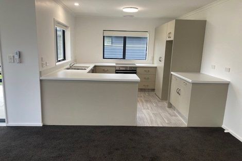 Photo of property in Masonic Court, 77 Main Street, Foxton, 4814