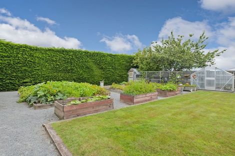 Photo of property in 10 Flannery Street, Leeston, 7632