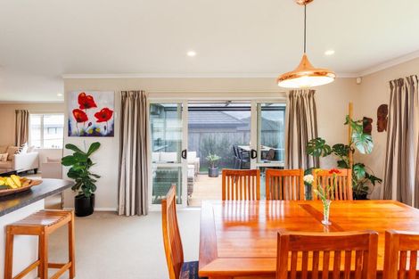 Photo of property in 163 Pacific Drive, Fitzherbert, Palmerston North, 4410