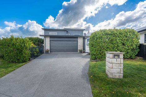 Photo of property in 1 Loftus Place, Flagstaff, Hamilton, 3210