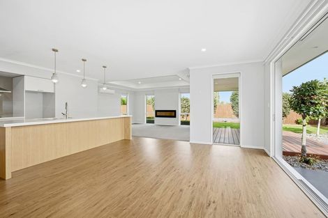 Photo of property in 117 Metehau Street, Marshland, Christchurch, 8083