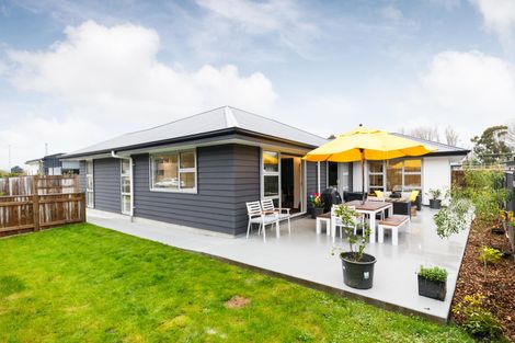 Photo of property in 51 Dahlia Street, Palmerston North, 4410