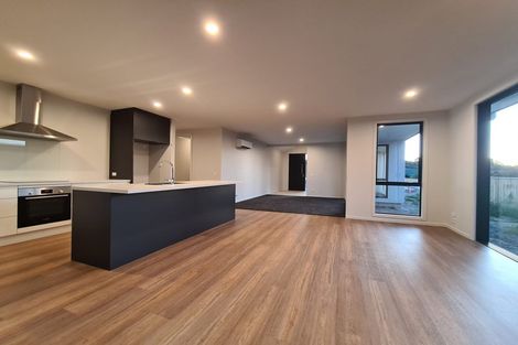 Photo of property in 43 Hart Road, Richmond, 7020