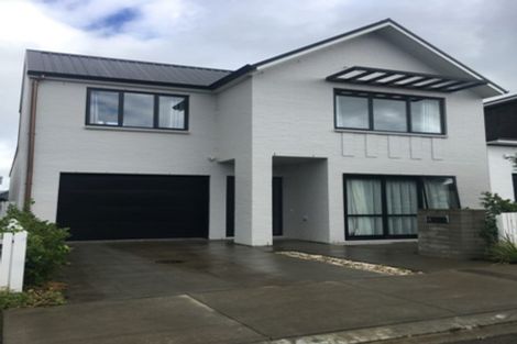 Photo of property in 20 Saltmarsh Road, Hobsonville, Auckland, 0616