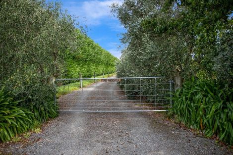 Photo of property in 16 Campbell Drive, Martinborough, 5711