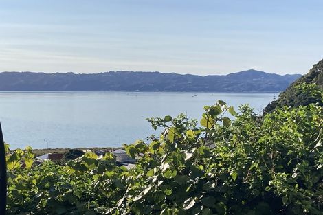 Photo of property in 10 Matai Terrace, Eastbourne, Lower Hutt, 5013