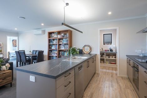 Photo of property in 16 Kahikatea Way, Appleby, Richmond, 7020