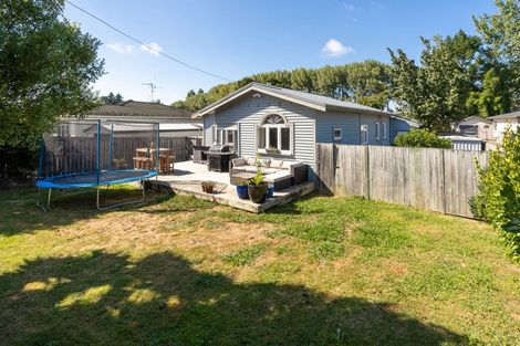 Photo of property in 137 Rimu Street, Maeroa, Hamilton, 3200