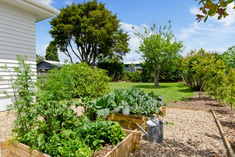 Photo of property in 9 Williams Crescent, Point Wells, Warkworth, 0986