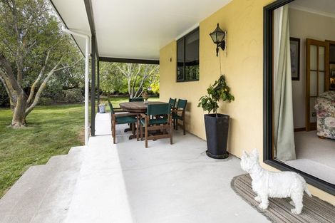 Photo of property in 44 Rene Street, Springlands, Blenheim, 7272