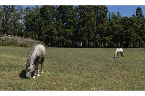 Photo of property in 41 Te Ra Road, Kaeo, Kerikeri, 0295
