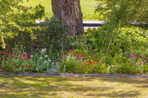 Photo of property in 341 Manaia Road, Homebush, Masterton, 5885