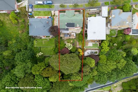 Photo of property in 20 Mcgeorge Avenue, Mornington, Dunedin, 9011