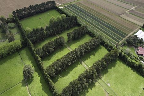 Photo of property in 222 Bruce Road, Levin, 5510