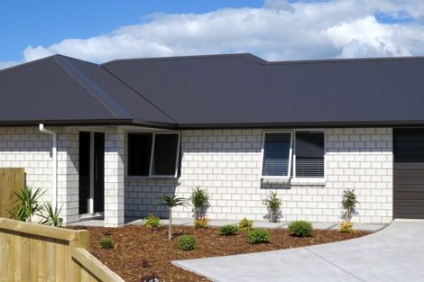 Photo of property in 64 Golden Shore Place, Coromandel, 3506