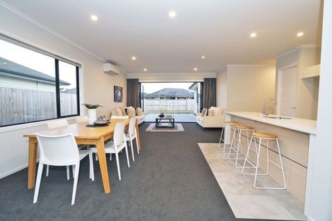 Photo of property in 6 Loftus Place, Flagstaff, Hamilton, 3210