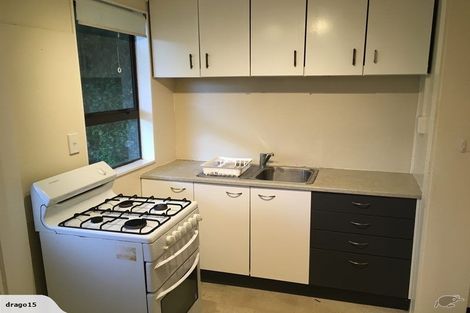 Photo of property in 77 Webb Street, Mount Cook, Wellington, 6011