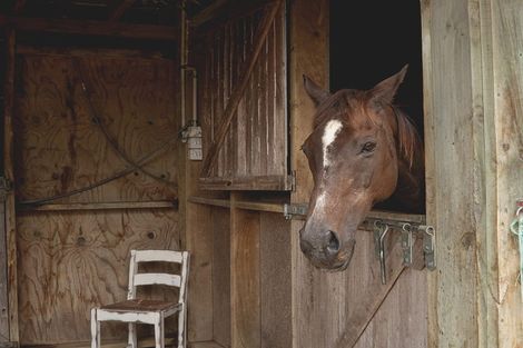 Photo of property in 131 Oyster Point Road, Kaukapakapa, Warkworth, 0984