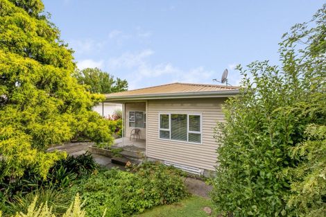 Photo of property in 910 Lawrence Street, Akina, Hastings, 4122