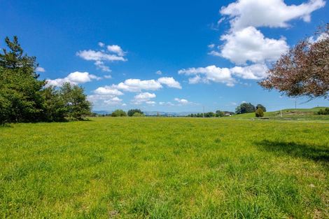 Photo of property in 292 Tamaki River Road, Dannevirke, 4972