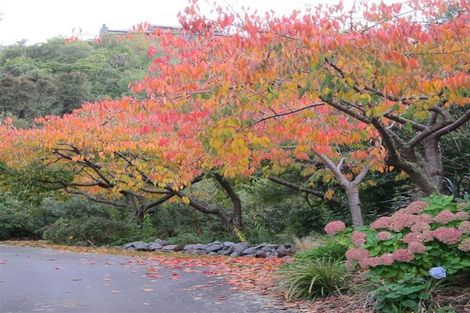 Photo of property in 2 Whakamoenga Point, Acacia Bay, Taupo, 3385