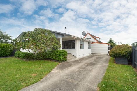 Photo of property in 151 College Street, Awapuni, Palmerston North, 4412