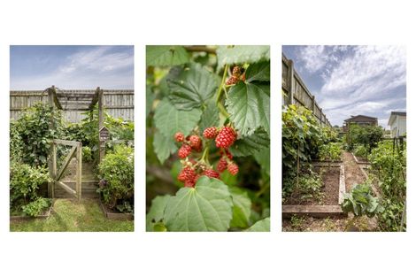 Photo of property in 20 Emmerdale Place, Ohauiti, Tauranga, 3112