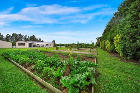 Photo of property in 554 Mountain Road, Lepperton, New Plymouth, 4373