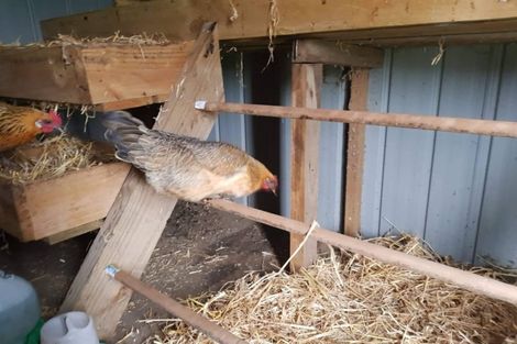 Photo of property in 78 Koraha Road, Kumeu, 0892