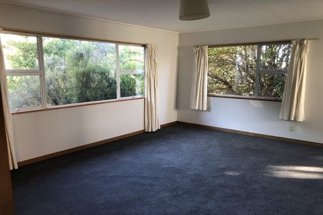 Photo of property in 135a Chapman Street, Wakari, Dunedin, 9010