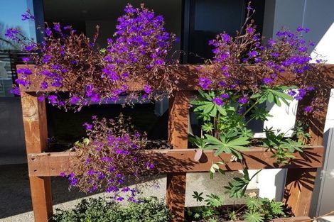 Photo of property in Leicester Executive Apartments, 102/282 Madras Street, Christchurch Central, Christchurch, 8011