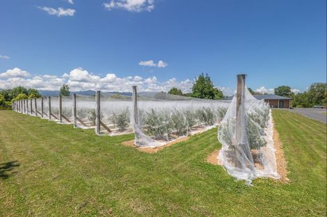 Photo of property in 85 Papaitonga Lake Road, Ohau, 5570