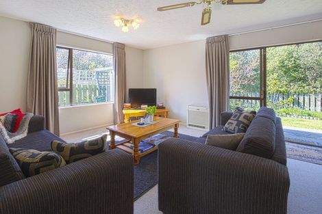 Photo of property in 44b Warren Street, Wanaka, 9305