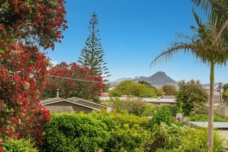 Photo of property in 54 Oyster Drive, Cooks Beach, Whitianga, 3591
