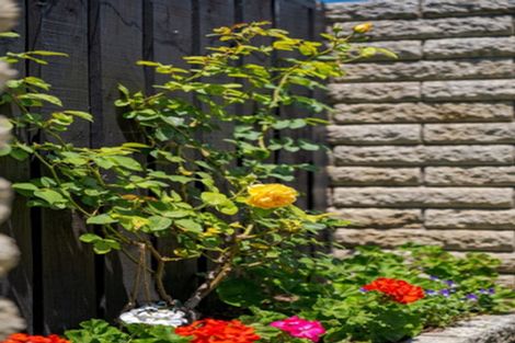 Photo of property in 111a Chapel Street, Otumoetai, Tauranga, 3110