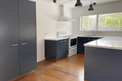 Photo of property in 17 Caspian Close, New Lynn, Auckland, 0600